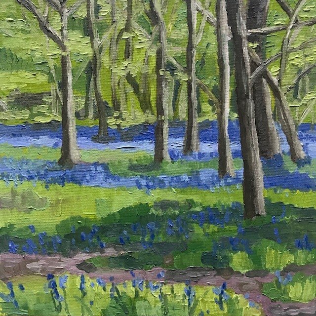 Bluebells at Calke Abbey