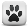 Captcha image 9306